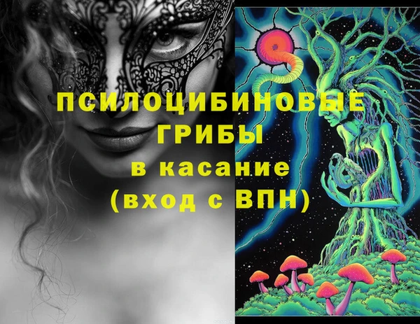 кокс Бородино