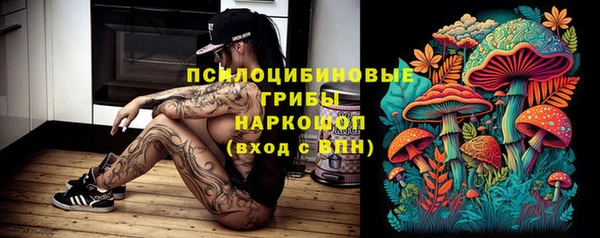 прущая мука Богородицк