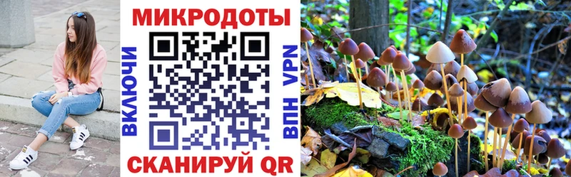 Галлюциногенные грибы ЛСД Давлеканово